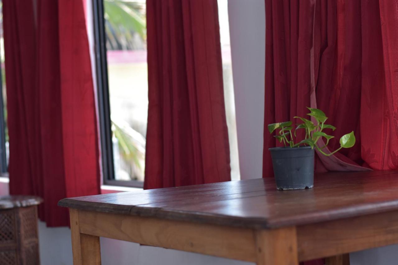 Packbag Beach Hotel コーバラム エクステリア 写真